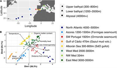 Diversity and Biogeography of Bathyal and Abyssal Seafloor Bacteria and Archaea Along a Mediterranean—Atlantic Gradient